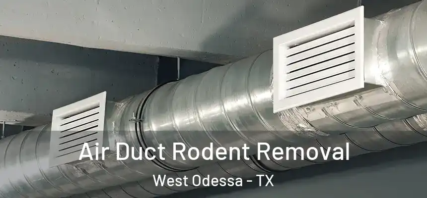 Air Duct Rodent Removal West Odessa - TX