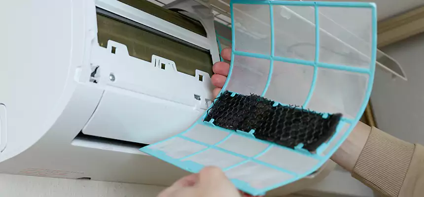 Gentle Ductwork Odor-Control Pet Dander Duct Cleaning in West Odessa, TX