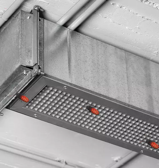 About Air Duct Cockroach Removal in West Odessa, TX