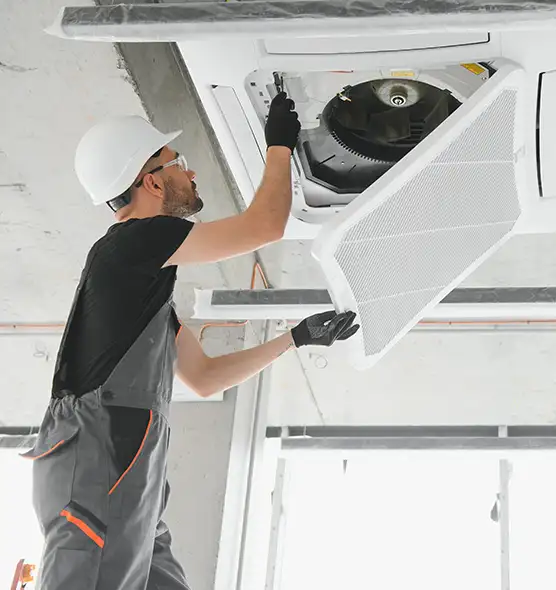 About Air Duct Rodent Removal in West Odessa, TX