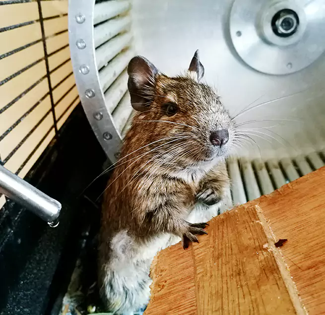 Why Homeowners & Businesses Trust Us West Odessa, TX?